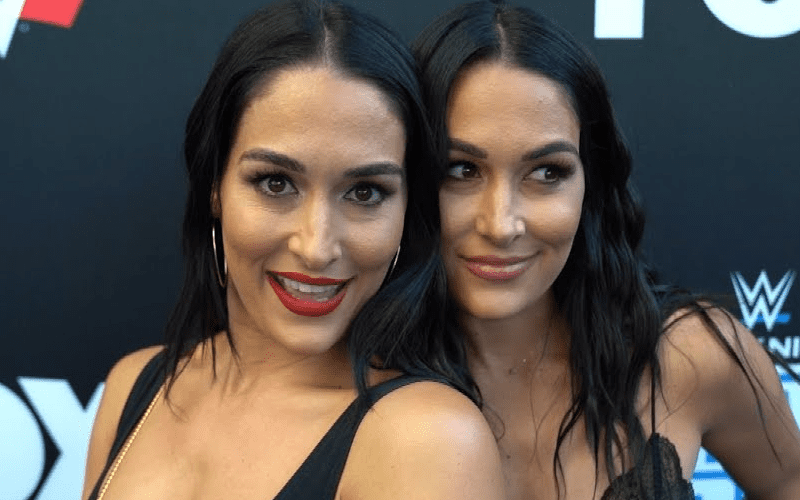 The Bella Twins React WWE SmackDown Return