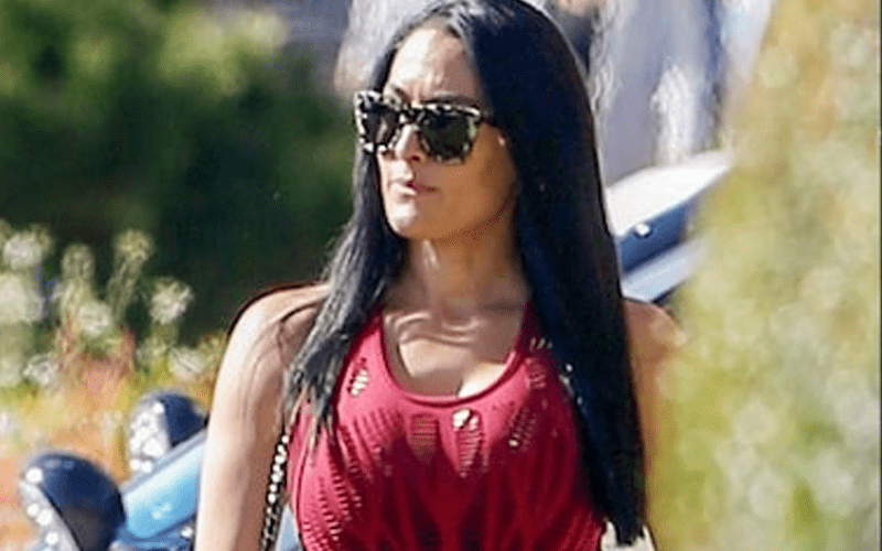 Nikki Bella Showing Off Baby Bump