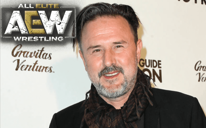 David Arquette Painted Entrance Jacket For AEW Star
