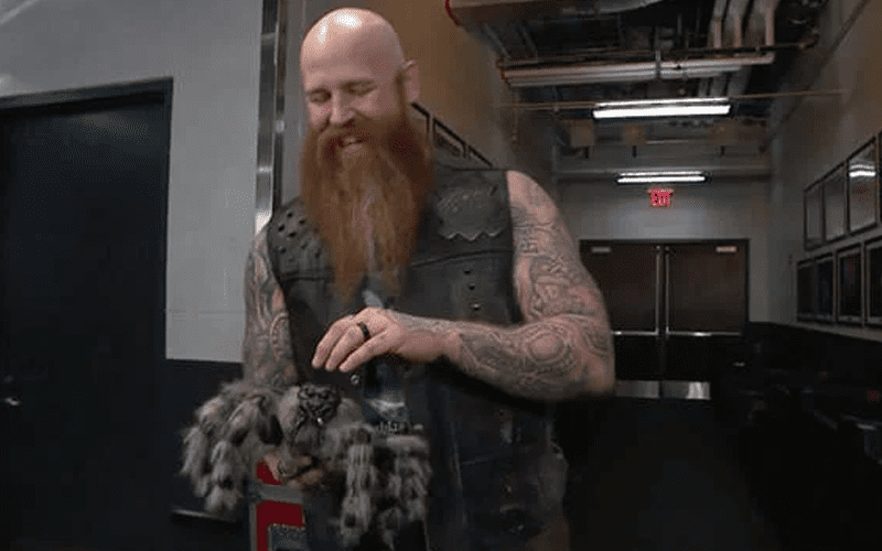Erick Rowan Comments On His Big Spider Reveal During WWE RAW