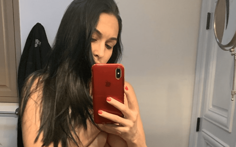 Nikki Bella Posts Revealing Pregnancy Photo