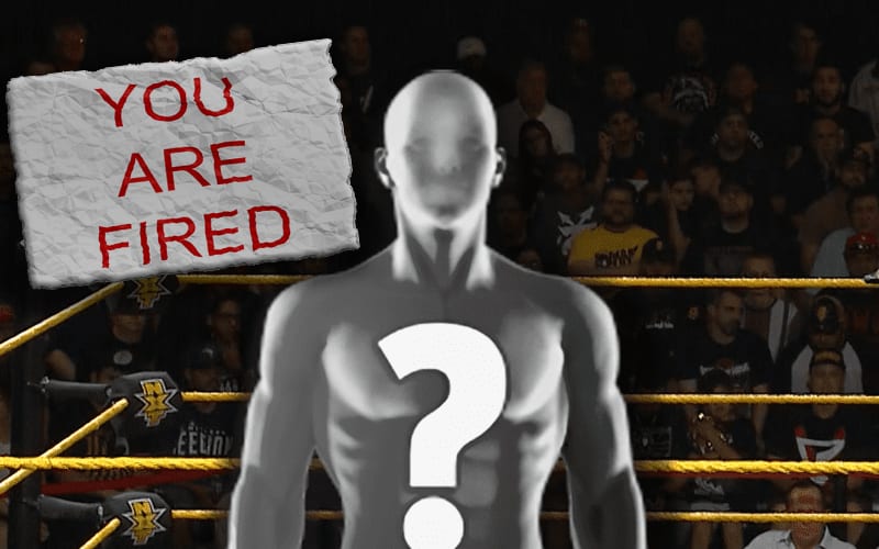 Ex WWE NXT Superstar Wishes There Were More Opportunities For Them Before Their Release