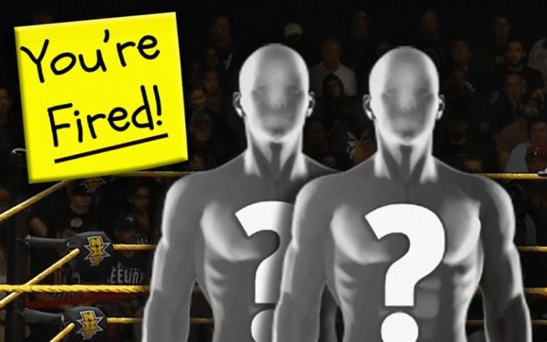 WWE Replaced Recently Released NXT Superstar With Another Superstar They Later Released