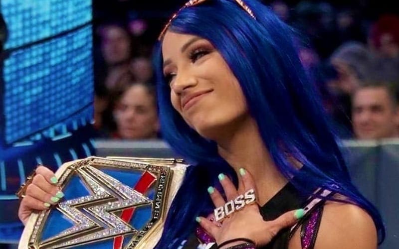 Sasha Banks On Why She Doesn’t Want WWE Total Divas Role