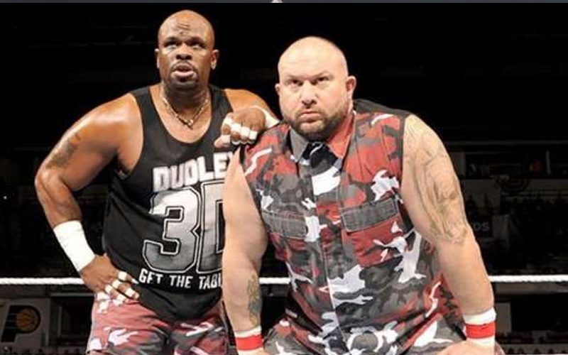 Dudley Boys Hint At Possible Reunion After D-Von Dudley’s WWE Departure
