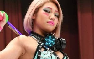 Charges To Be Filed Against Hana Kimura’s Cyberbully