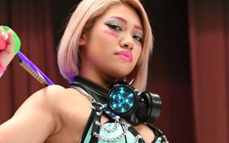 Hana Kimura Suicide Could Cause Creation Of New Cyber Bullying Law