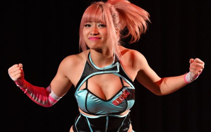 More Information On Events Leading To Hana Kimura Suicide