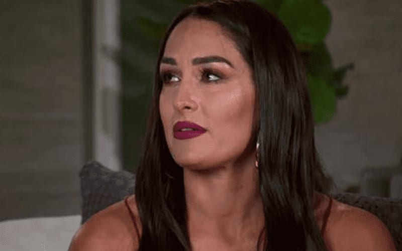 Nikki Bella Urges Fans To Stay Safe & ‘Keep On Shining’ In Response To Protests
