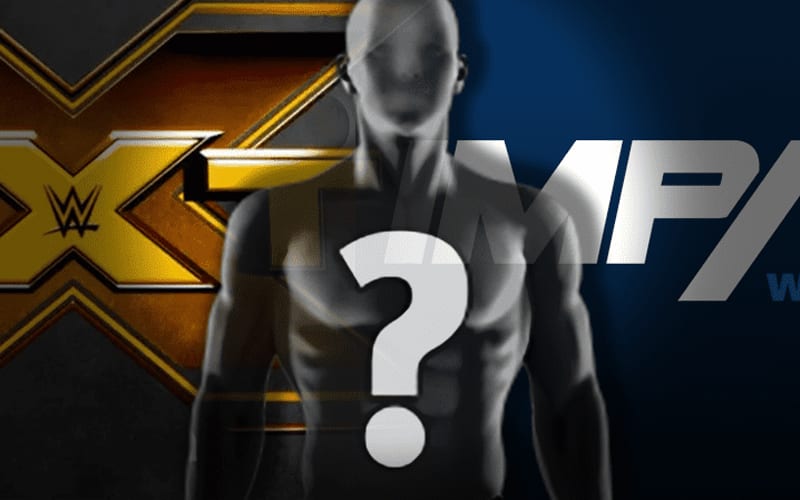 Another Former WWE NXT Superstar Could Arrive In Impact Wrestling Soon