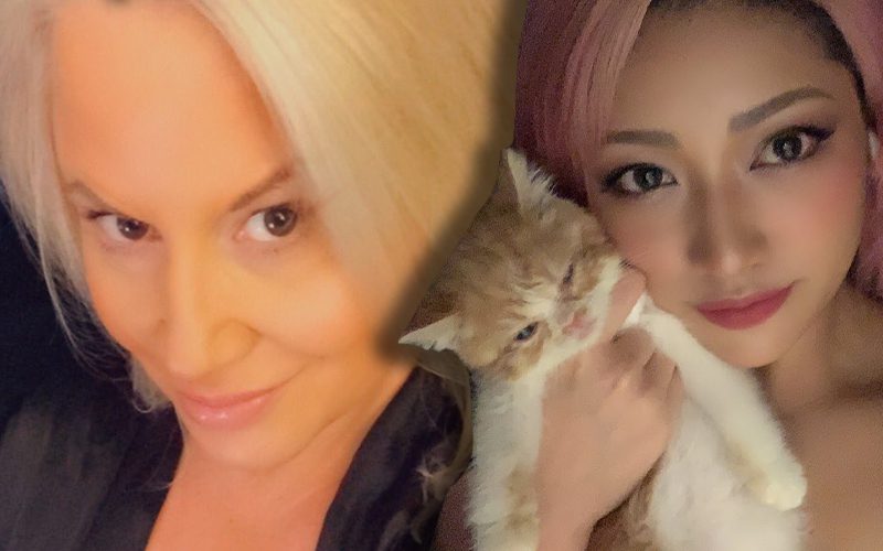 Sunny Goes BALLISTIC After Backlash Concerning Comments About Hana Kimura Suicide
