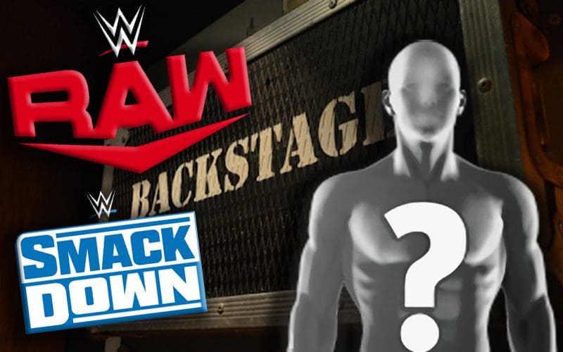 Former WWE Superstar On Being Buried Backstage By People With Their Own Agenda