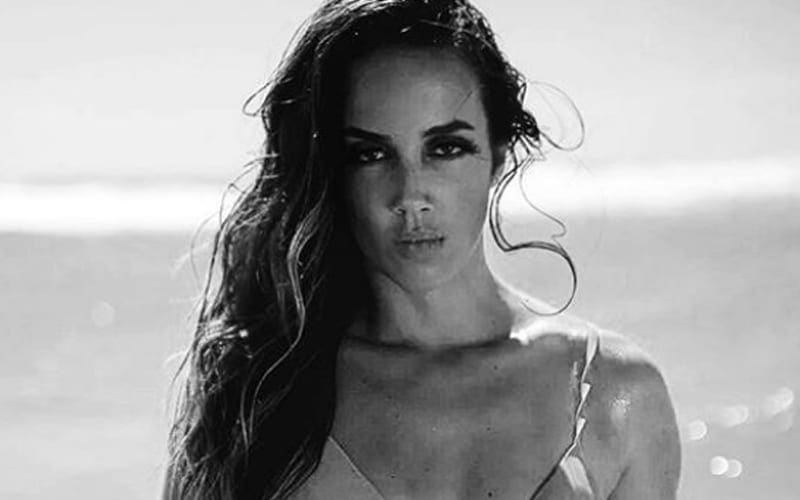 Chelsea Green Proves ‘Life Is Swell’ In Breathtaking Beach Bikini Photo Drop