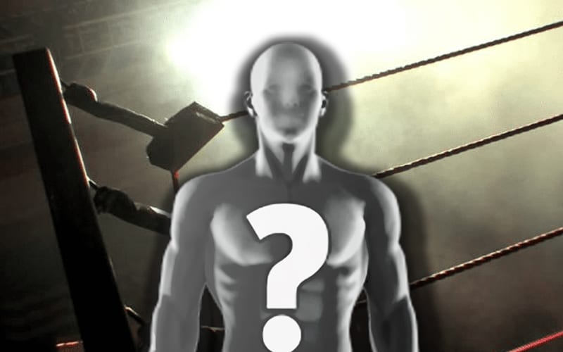 Popular Indie Wrestler Being Forced To Retire Due To Back Injury