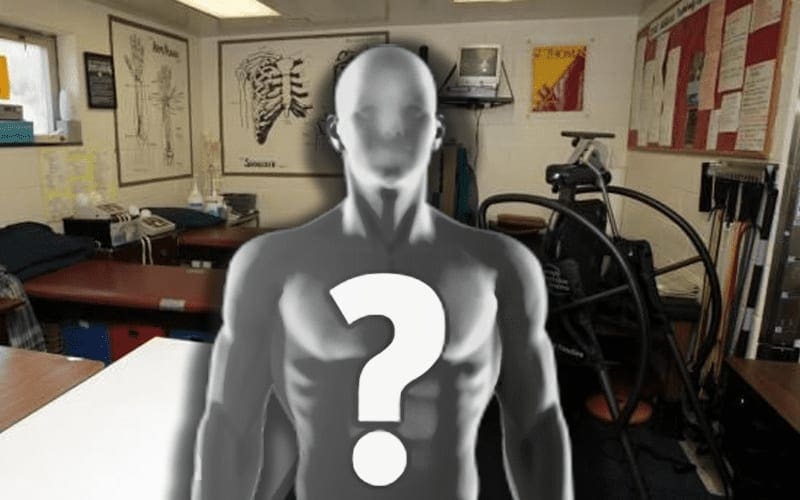 WWE Superstar Possibly Out 8 Months After Injury