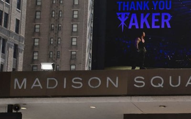 The Undertaker Gets Love From Madison Square Garden