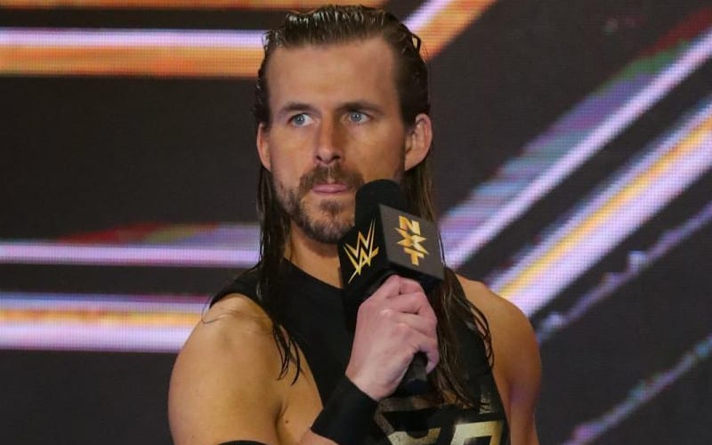 Adam Cole Not Leaving WWE For A Long Time