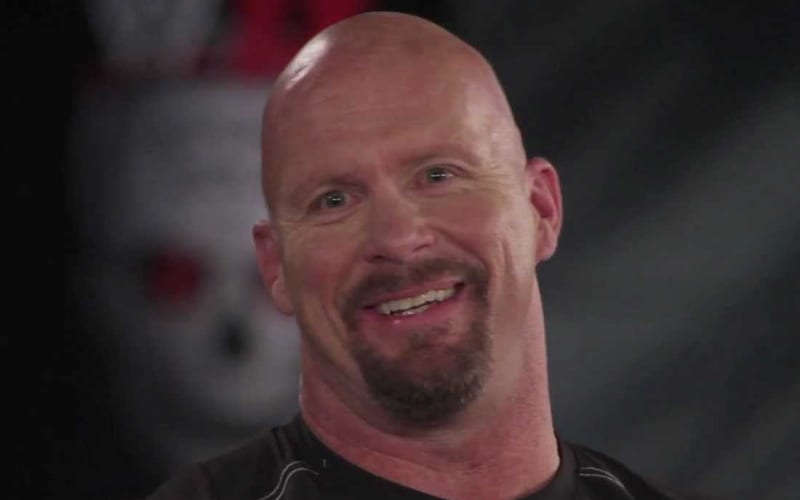 Steve Austin Gets Props For Support Of Gay Marriage