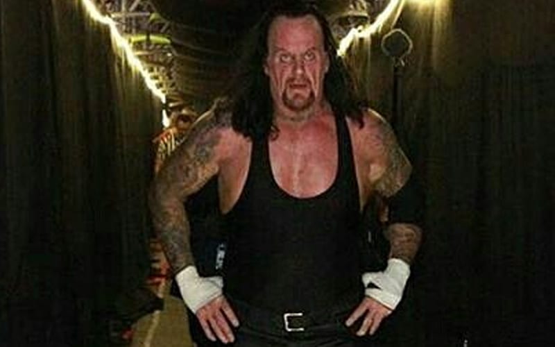 The Undertaker Might Not Have Really ‘Retired’ From WWE