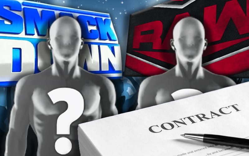 WWE Made New Contract Offers To Recently Released Superstars