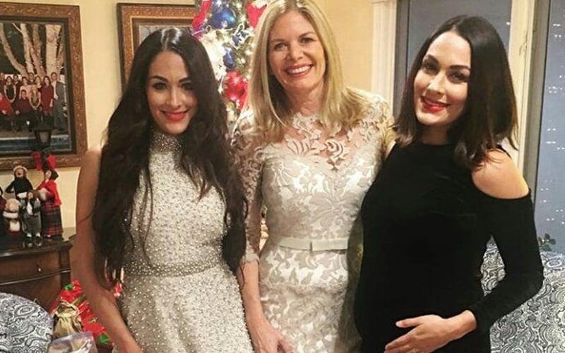 Nikki Bella Provides Update On Mother After Brain Surgery