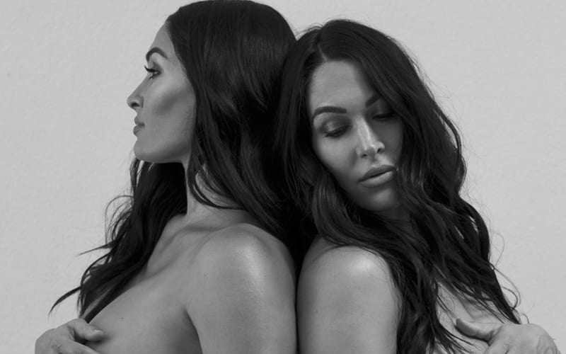 Bella Twins Bare All In New Pregnancy Photos