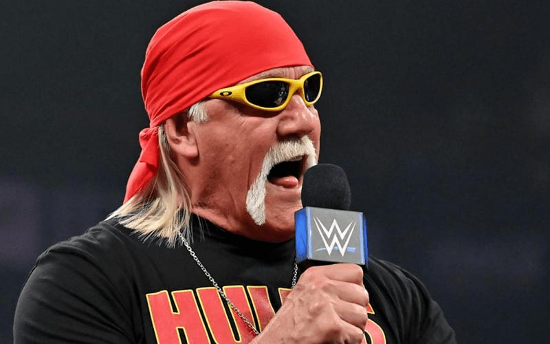 Hulk Hogan Teases Collaboration With Famous Bodybuilder