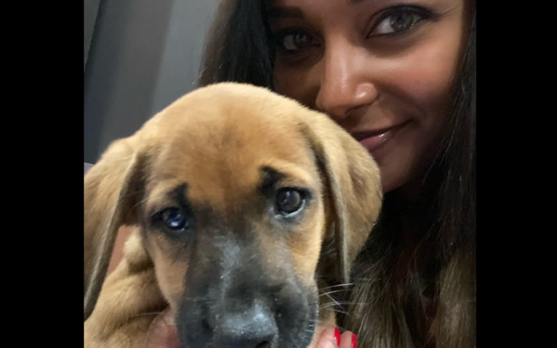 Brandi Rhodes Gives More Details About Puppy Battle Royale At AEW Fyter Fest