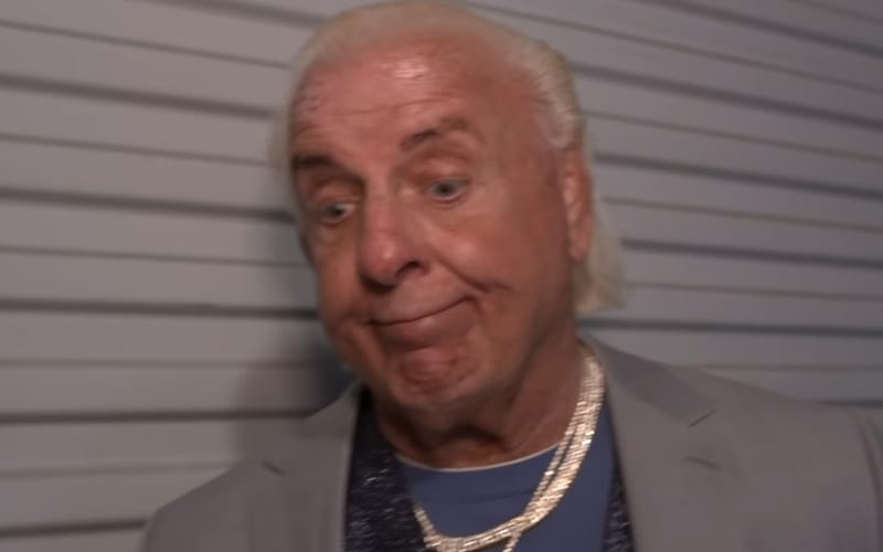Ric Flair’s First Remarks After WWE Release