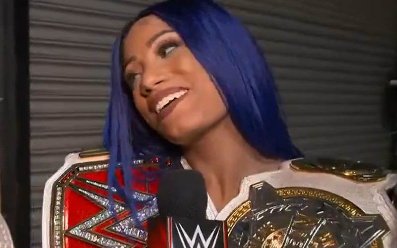 Sasha Banks Teases Going After WWE NXT Women’s Title
