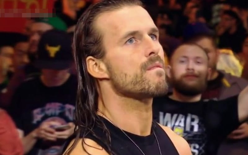 WWE Has Yet To Offer Adam Cole Long Term Contract