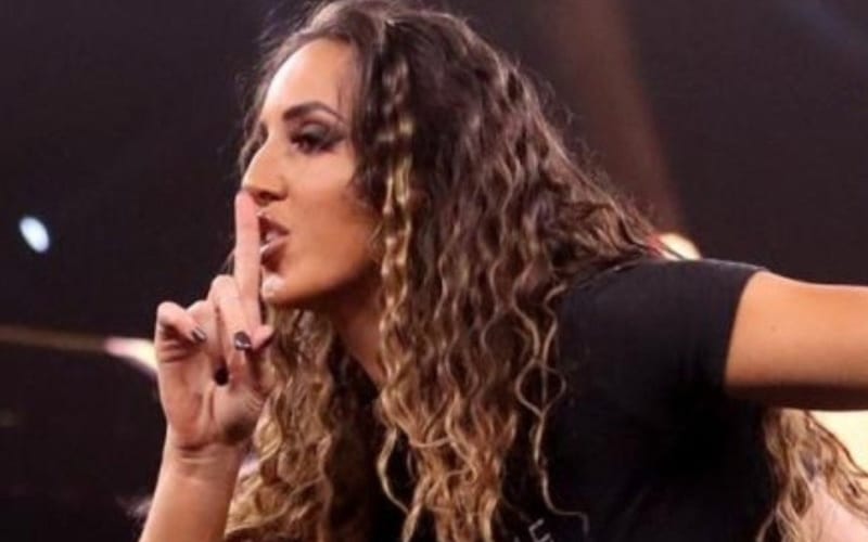 Chelsea Green Reveals Her Goals For WWE Return After Injury