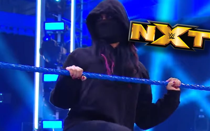 WWE Retribution Member Lost On NXT This Week