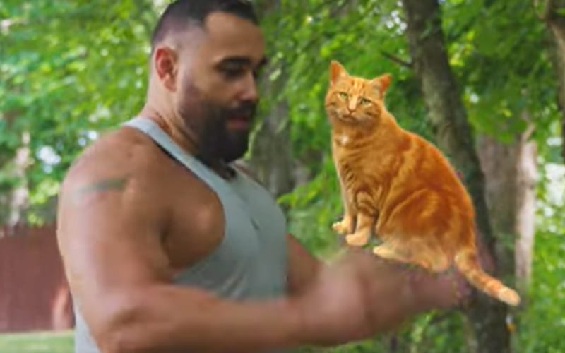 Miro (Rusev) Stars In Another Hilarious Parody Commercial