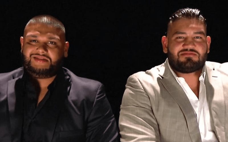 AOP Received HUGE PROPS From Fellow Superstars Prior To WWE Release