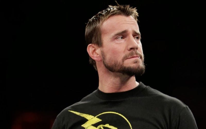 WWE Almost Debuted CM Punk With Female Partner