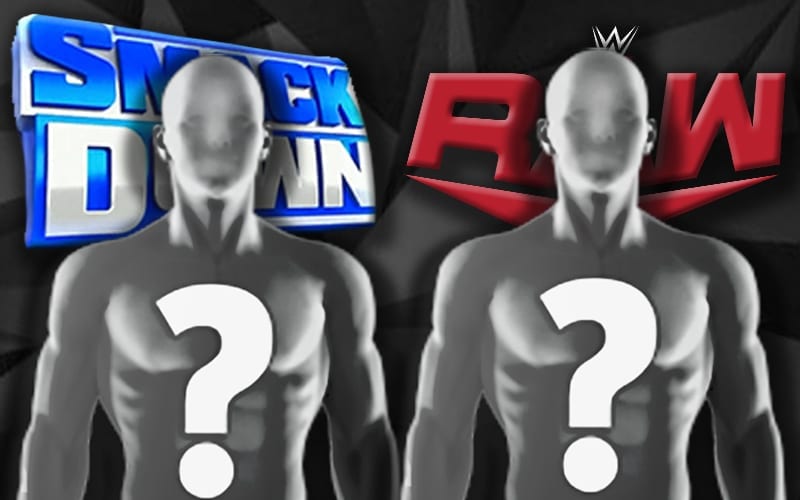 Huge Possible Spoilers For Future Of RAW & SmackDown Title Picture