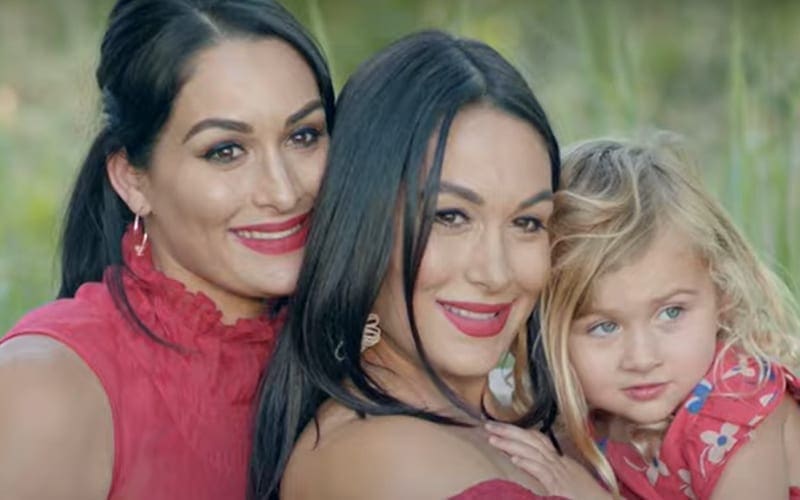 WWE Confirms Total Bellas Is Returning Next Month