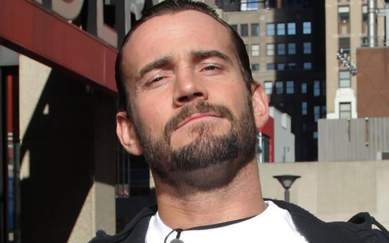CM Punk & Former WWE Writer Joke About Company Hiring New Lead Writer