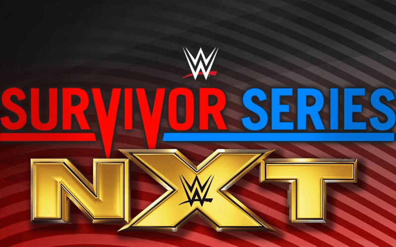 WWE’s Current Mindset About NXT’s Involvement In Survivor Series Event