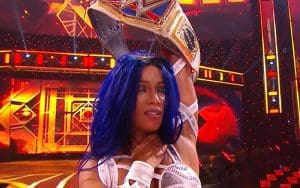 Sasha Banks Wins WWE SmackDown Women’s Title At Hell In A Cell