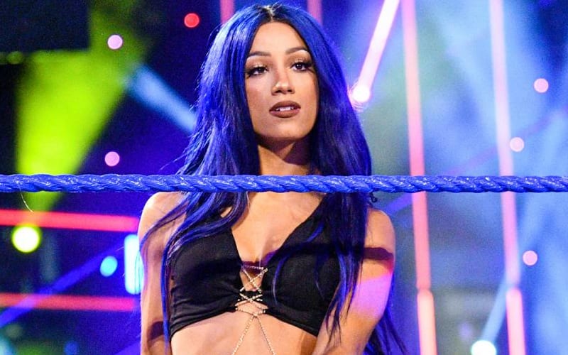 Sasha Banks Doesn’t Understand Why WWE Hasn’t Held Another All-Women Evolution Pay-Per-View