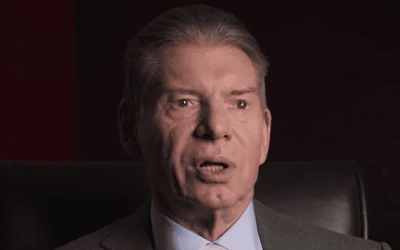 Vince McMahon Fired Female Superstar Because Writers Said She Was Hard To Work With