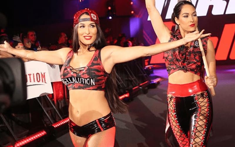 The Bella Twins Want Their Sons To Watch Them Wrestle In WWE
