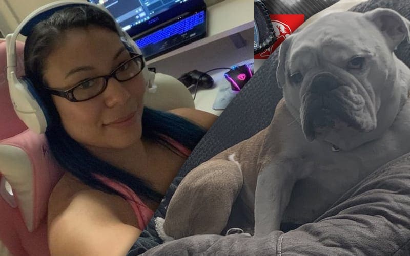 Mia Yim Says Her Dog Misses Twitch