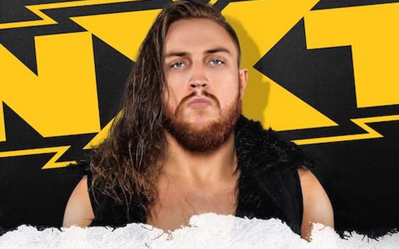 Pete Dunne Confirmed For Ladder Match Tonight On WWE NXT