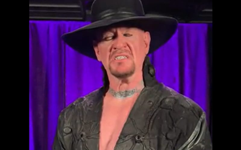 The Undertaker Says 'I Stayed F*cked Up' To Deal With WWE Travel Schedule