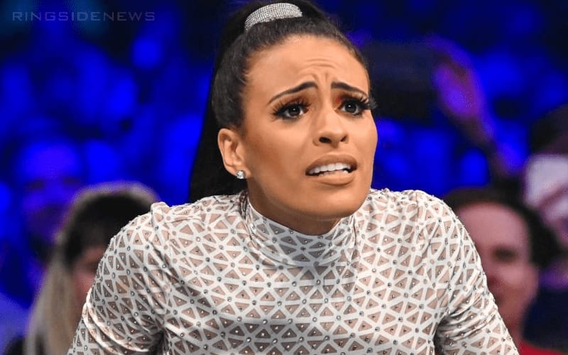 Why WWE Superstars Did Not Publicly Support Zelina Vega