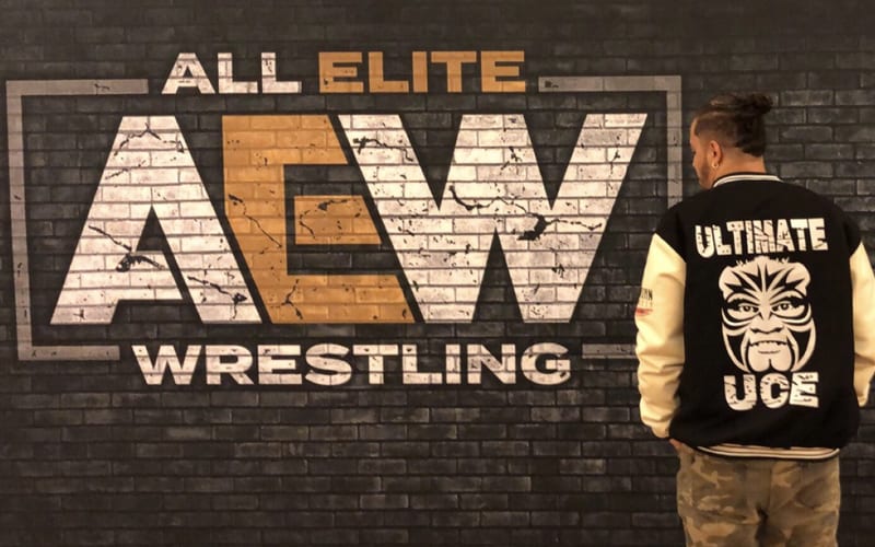 AEW Could Be Signing The Rock’s Cousin