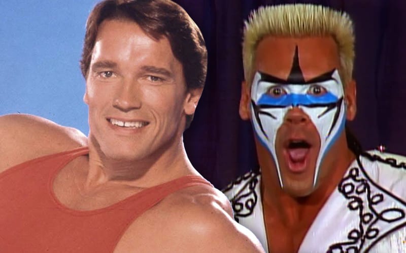 Sting Wanted To Be Like Arnold Schwarzenegger